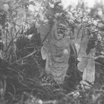 پنجمین و آخرین عکس از غکس های کاتینگلی، پری ها و حمام آفتابشان، 1920، عکسی که فرانسیس گریفیث اصرار داشت که واقعی است